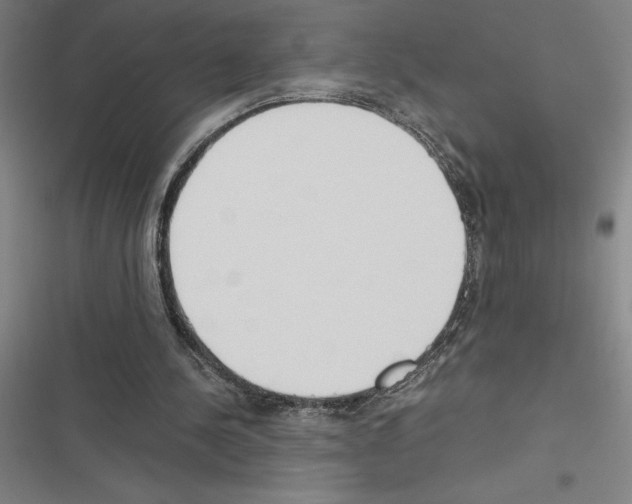 X0000116580244201001211310