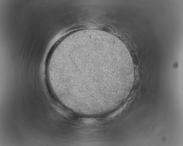 X0000116580246201001211310