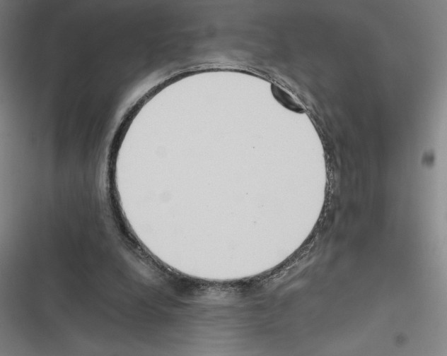 X0000116580248201001211310