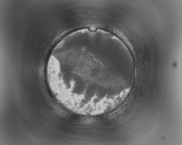 X0000116580249201001211310