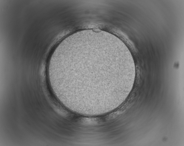 X0000116580250201001211310