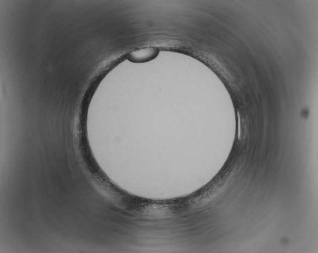 X0000116580252201001211310