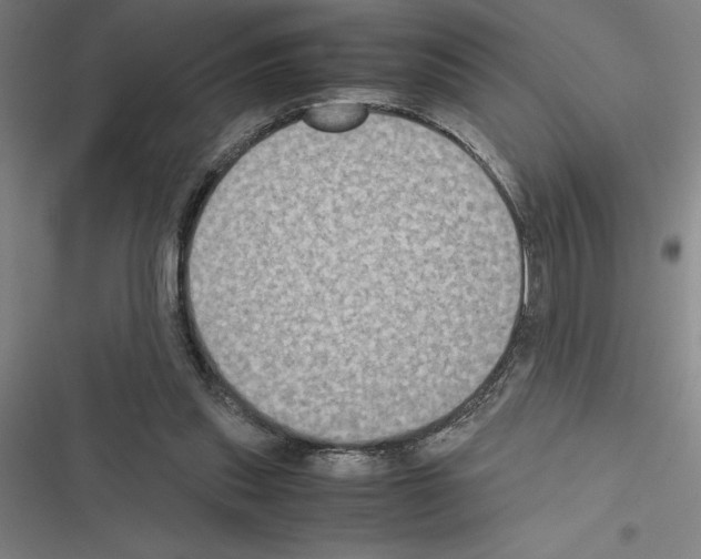 X0000116580253201001211310