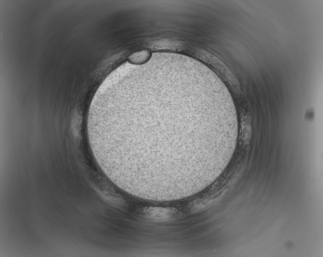 X0000116580255201001211310