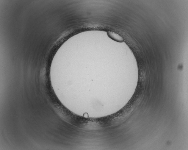 X0000116580256201001211310