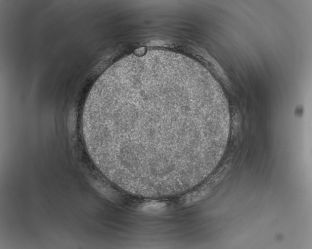 X0000116580257201001211310