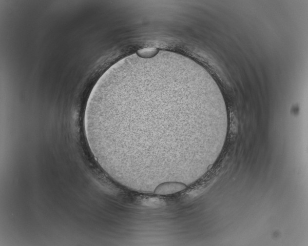 X0000116580258201001211310