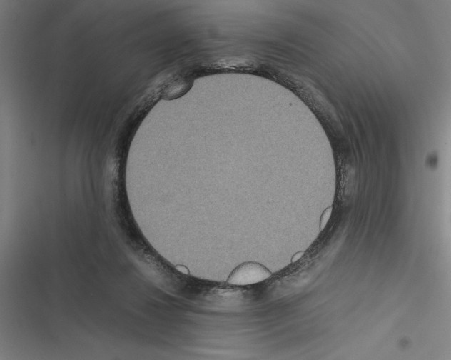 X0000116580260201001211311