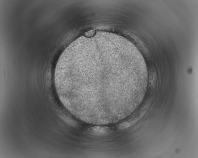 X0000116580261201001211311