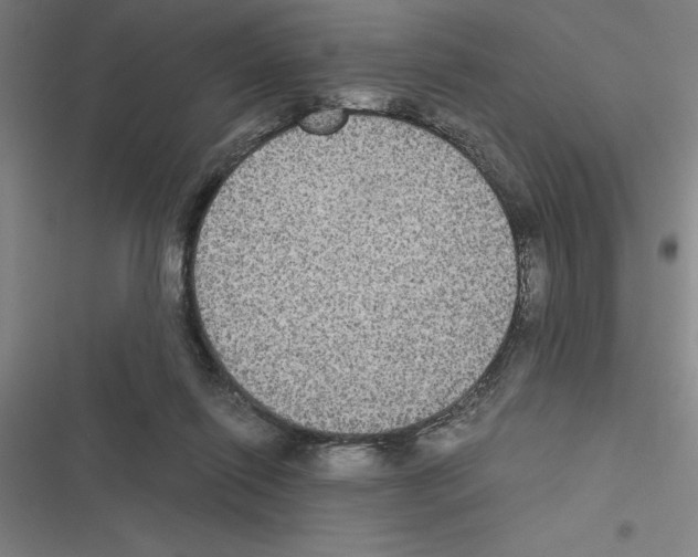 X0000116580262201001211311