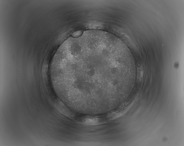 X0000116580263201001211311