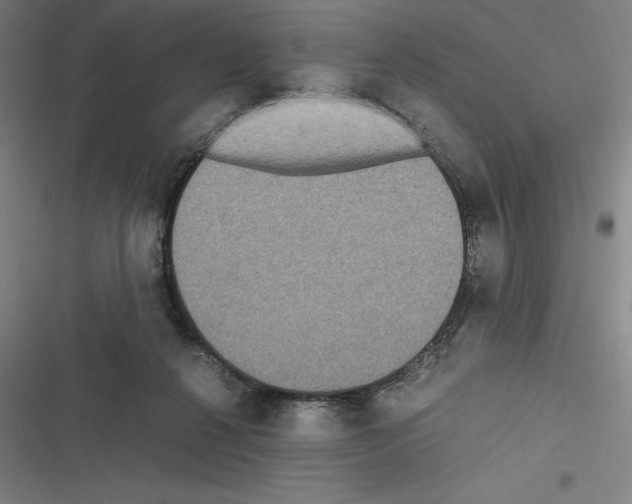 X0000116580264201001211311