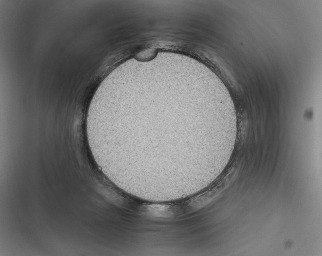 X0000116580265201001211311