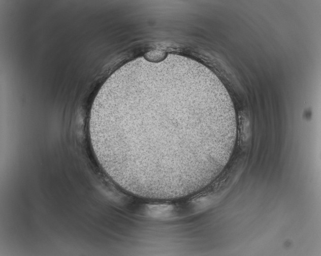 X0000116580266201001211311