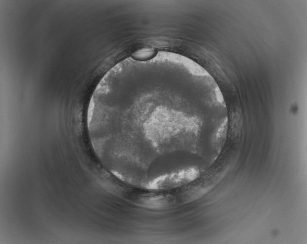 X0000116580267201001211311
