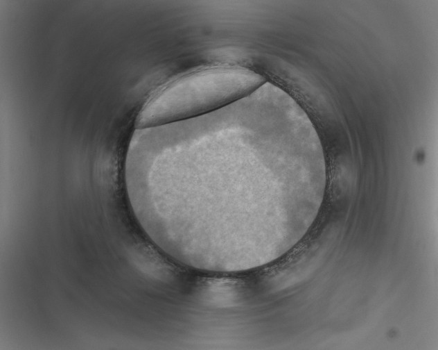 X0000116580268201001211311
