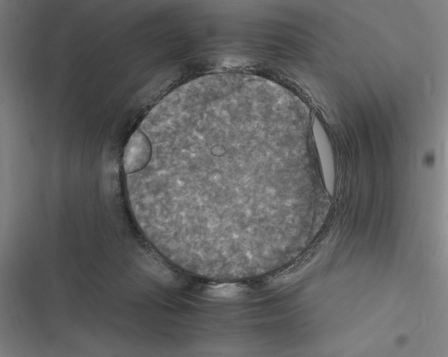 X0000116580269201001211311
