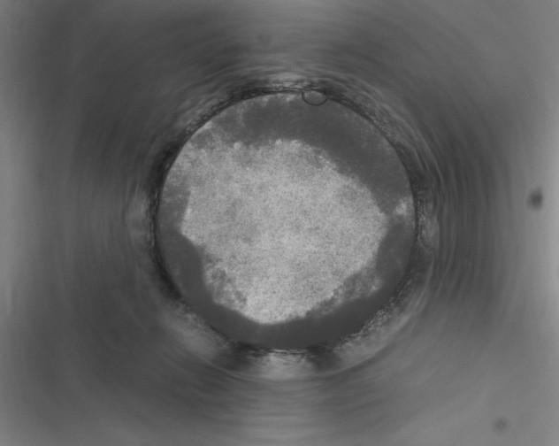 X0000116580270201001211311