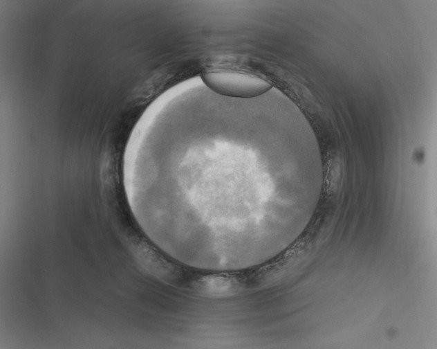 X0000116580272201001211311