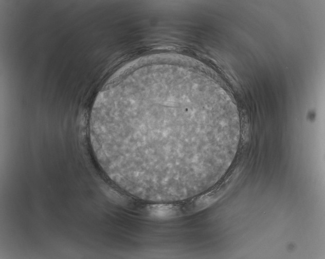 X0000116580273201001211311