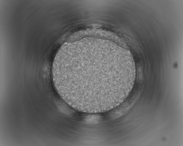 X0000116580274201001211311