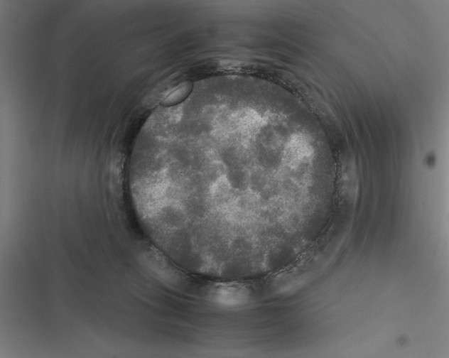X0000116580275201001211311