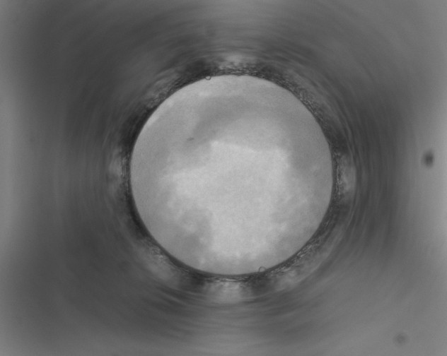 X0000116580276201001211311