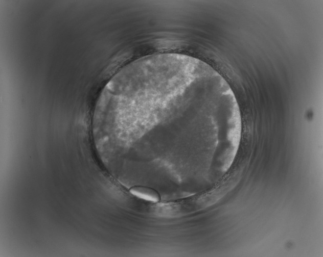 X0000116580277201001211311