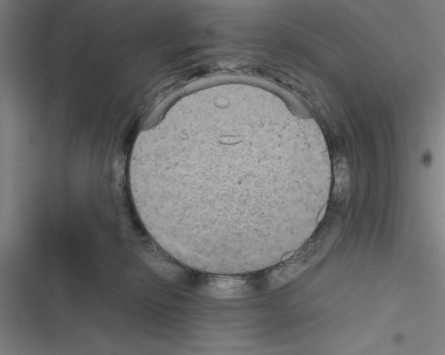 X0000116580278201001211311