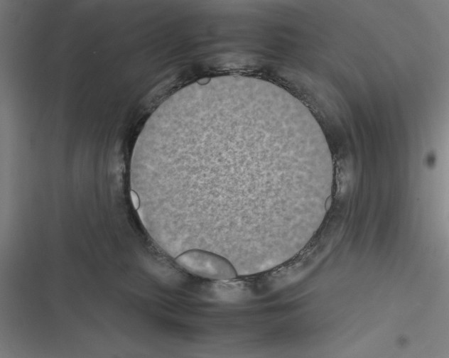 X0000116580279201001211311