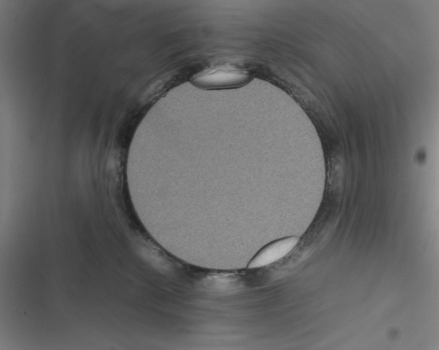 X0000116580280201001211311