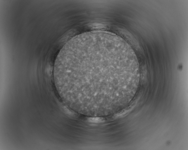 X0000116580281201001211311