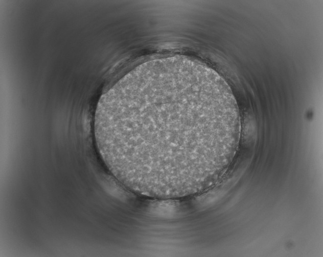 X0000116580282201001211311