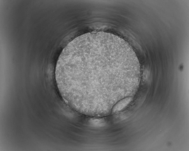 X0000116580283201001211311
