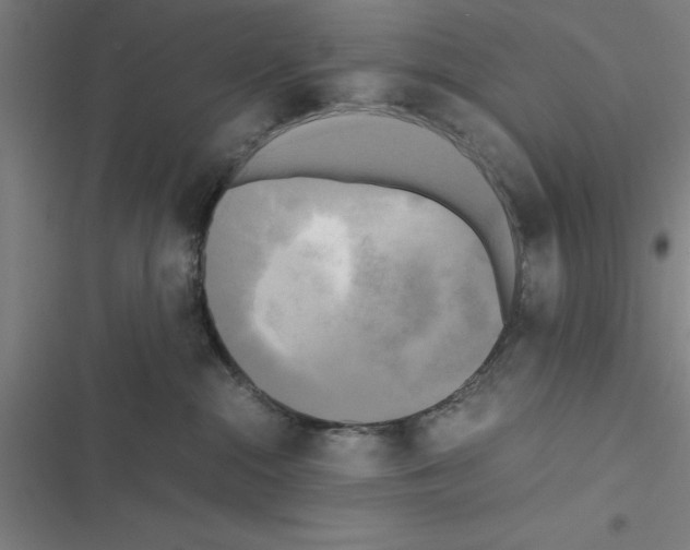 X0000116580284201001211311