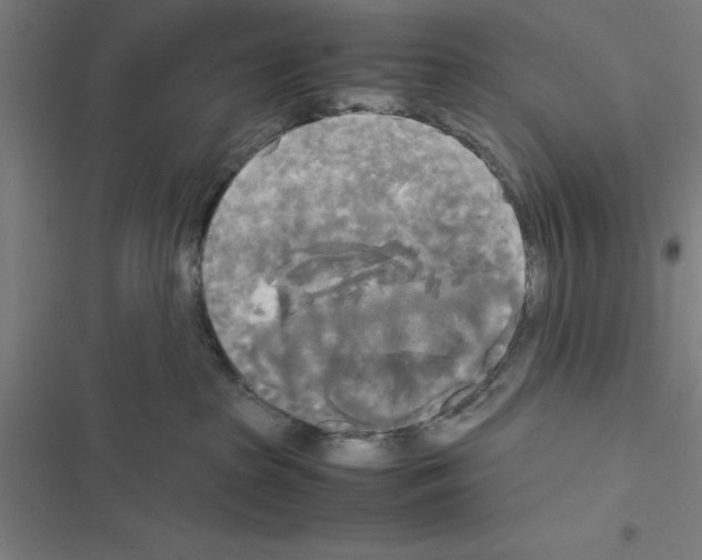 X0000116580285201001211311