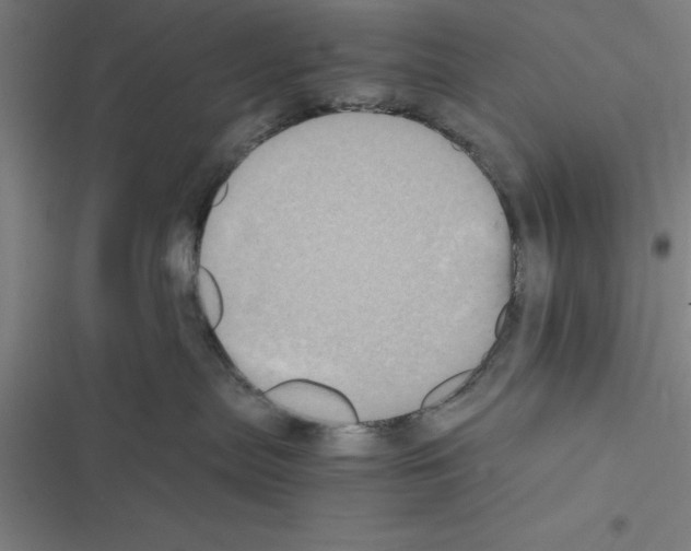 X0000116580287201001211311