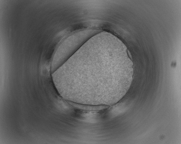 X0000116580288201001211311