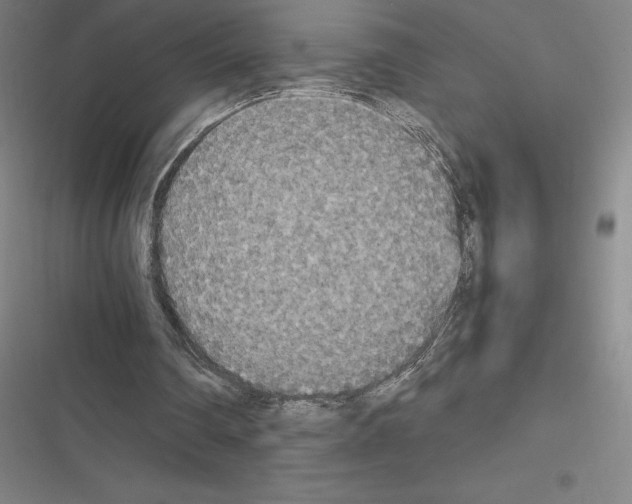 X0000116580290201001211310