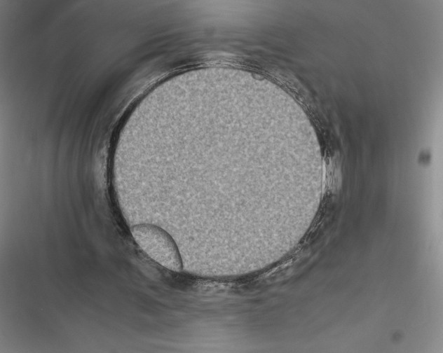 X0000116580291201001211310