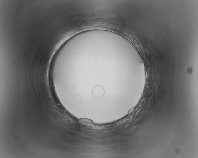 X0000116580292201001211310