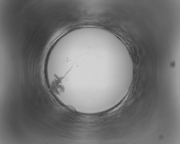 X0000116580293201001211310