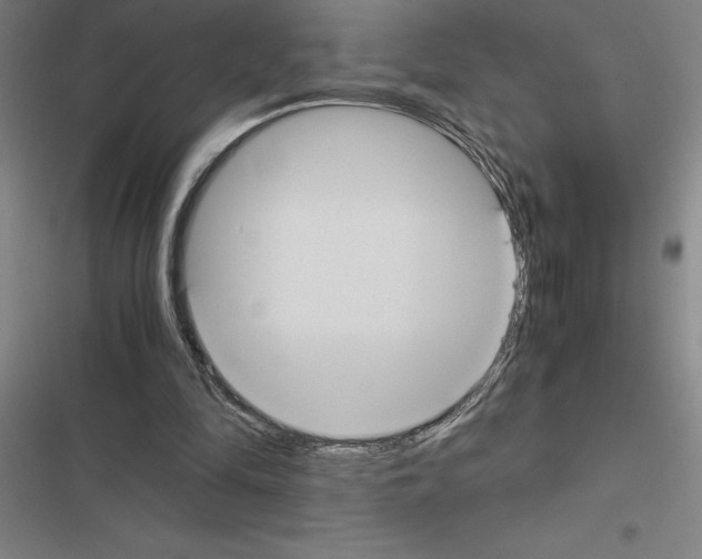 X0000116580294201001211310