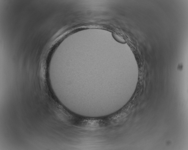 X0000116580295201001211310