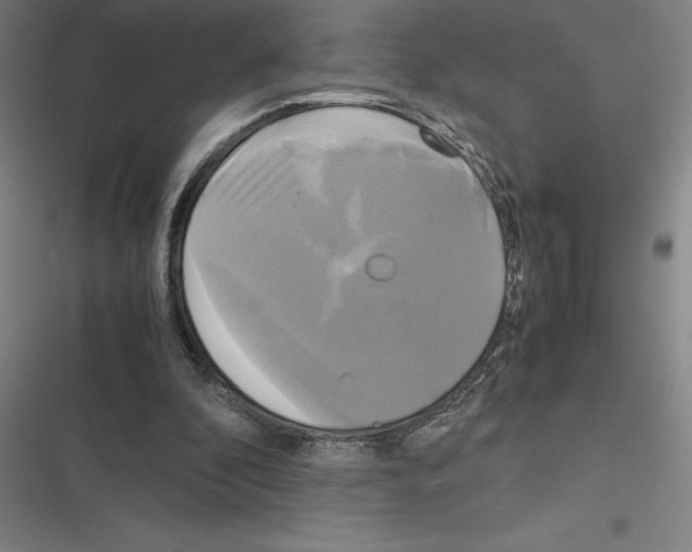 X0000116580296201001211310