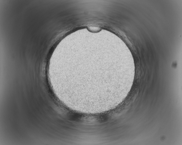 X0000116580299201001211310