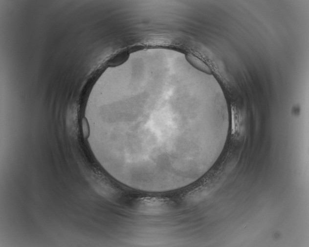 X0000116580300201001211310