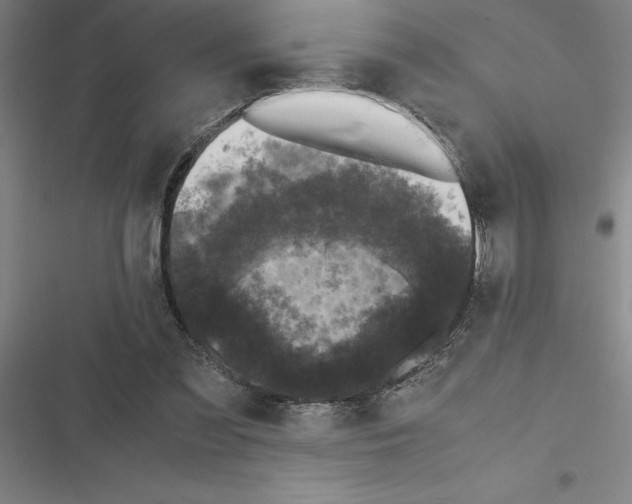 X0000116580301201001211310