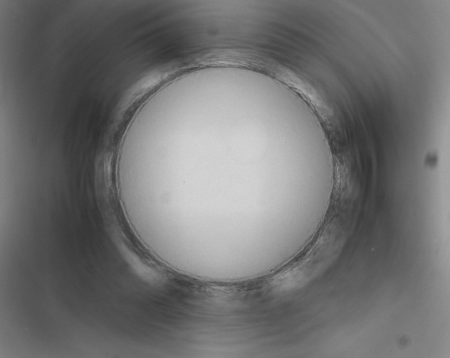 X0000116580302201001211310
