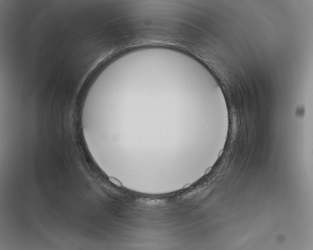 X0000116580304201001211310